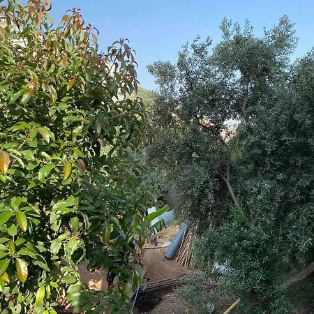 Deniz Manzarali,terasli,doga Icinde Mustakilsi Ev