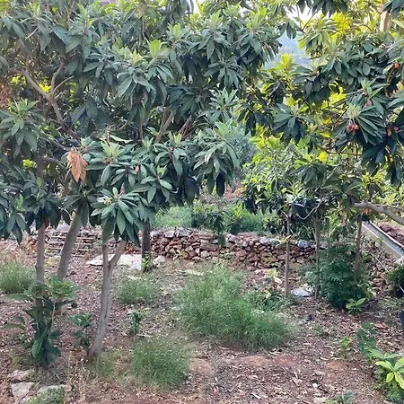 Deniz Manzarali,terasli,doga Icinde Mustakilsi Ev * Alanya