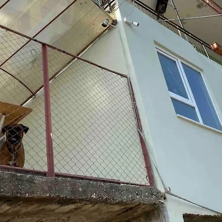 Deniz Manzarali,terasli,doga Icinde Mustakilsi Ev Appartement *