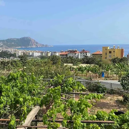 Appartement Deniz Manzarali,terasli,doga Icinde Mustakilsi Ev *