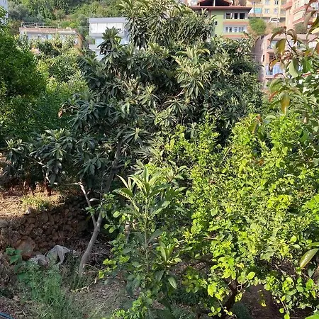Apartament Deniz Manzarali,terasli,doga Icinde Mustakilsi Ev Alanya